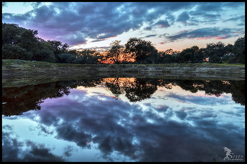 Laguna by sergiohernández3, Reflejos en la alta Extremadura
atardecer agua reflejos nubes clouds landscape paisaje bosqueextreme