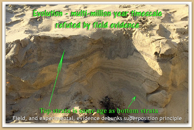 Evolution - multi-million year timescale debunked by field evidence.