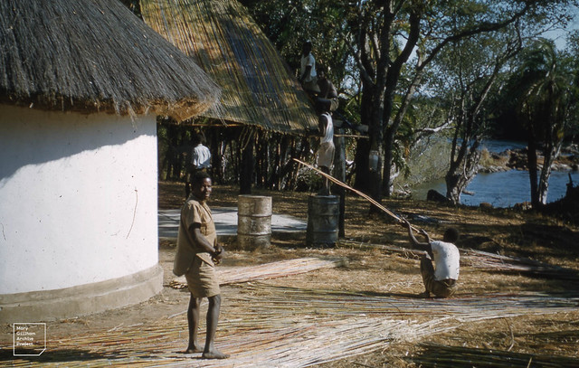 Old thatch and new. Kafwala, Zambia