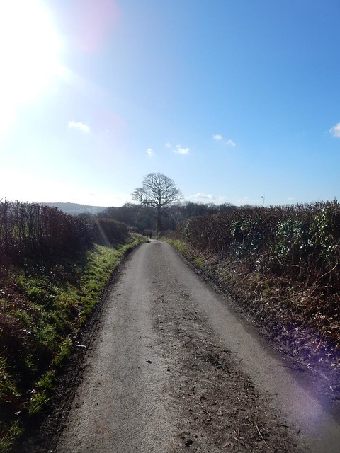 On and on, further up and up Balcombe Circular (winter)
