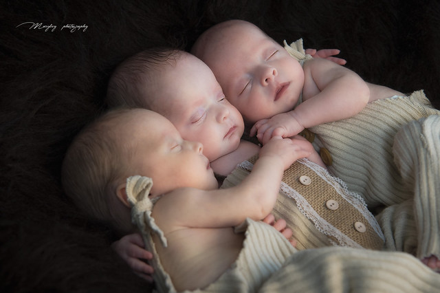 photography of triplets