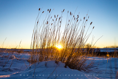 winter sunrise snow grass sky cold inspirational morning peaceful prairies rural country