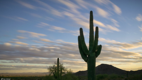 arizona buckeye cacti cactus clouds cloudy desert kenmickelphotography landscape landscapedesert longexposure longexposurephotography outdoors plants saguaro sky skylineregionalpark nature photography unitedstates us