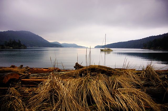 Good Morning from Medicine Beach! Pender Island, BC, Canadaland. ️