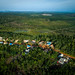 Aerial view of West Kalimantan