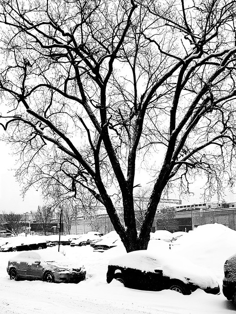 Griffintown parking in winter