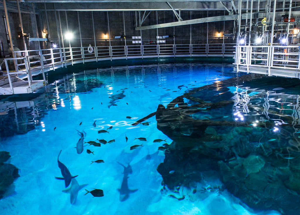 mandalay bay aquarium