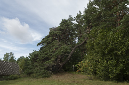 estonia pärnucounty tõstamaaparish pärnumaakond tõstamaavald panoramio