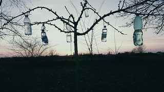 hanged bottles