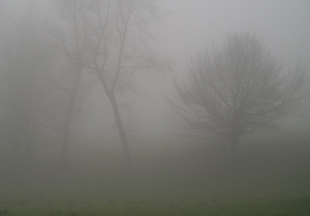 Mist - Fog