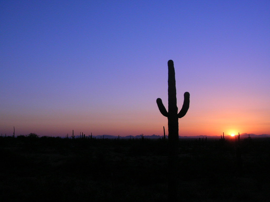Sunset over the Sonoran Desert, Arizona | Peter Lewis | Flickr