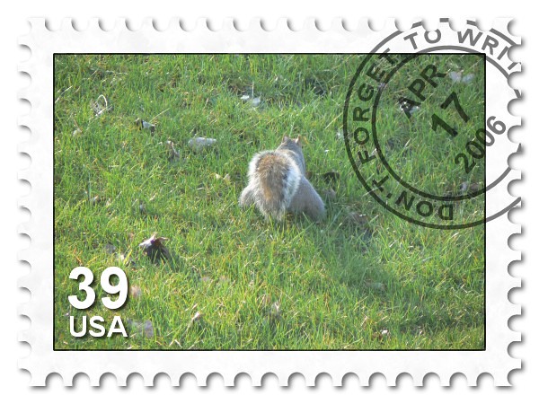 A Pouf-the-Squirrel  Stamp!