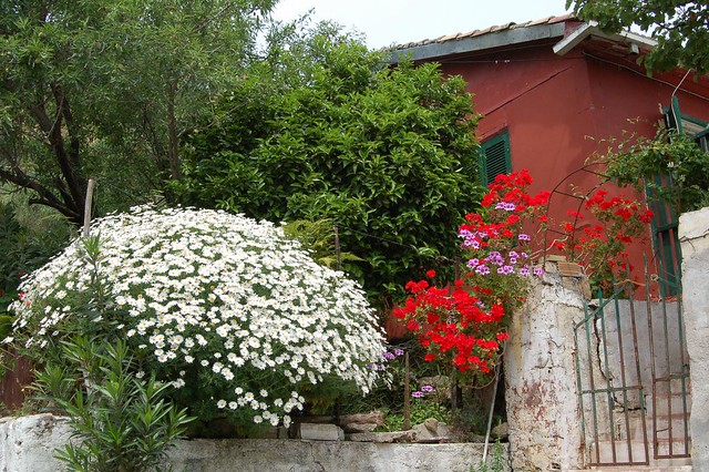 Flower-full House, Zakynthos