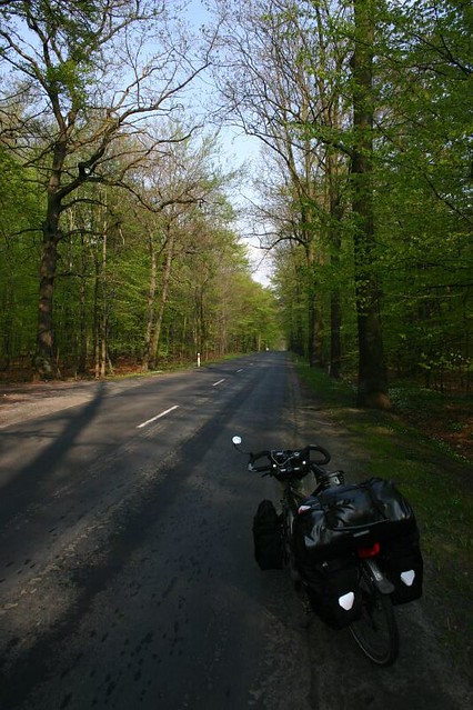 Poland is full of wonderful forests great for cycling...