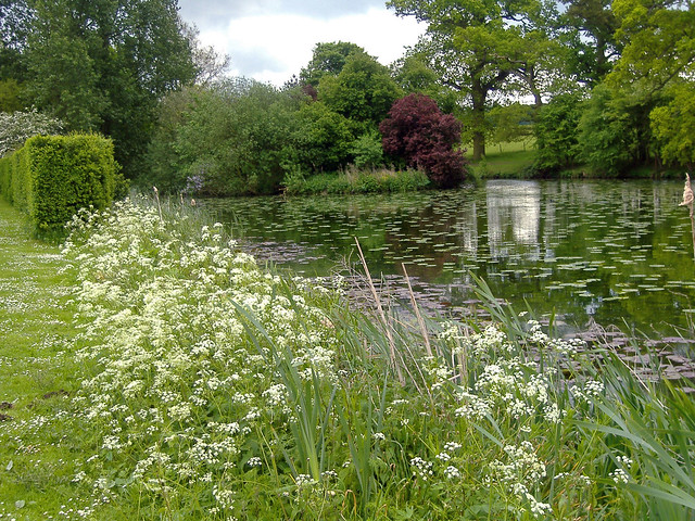 Canal Lake at Ickworth Park Suffolk