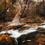 travertine creek Exploring natural areas in Oklahoma