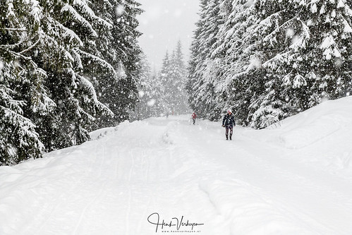 a austria flachau oostenrijk wintersport cold landscape landschap sneeuw snow white gemeindeflachau salzburg at