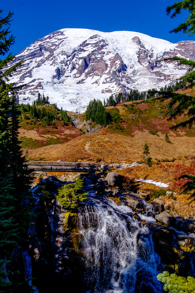Seattle Mount Rainer Park Seattle | Mount Rainier National Park. It was established on… | Flickr