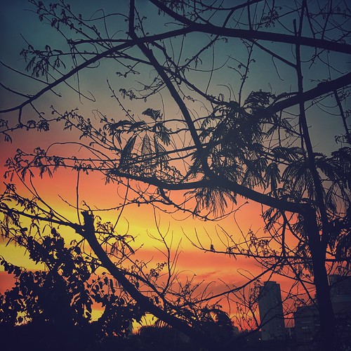 Sunset by rvcroffi, Vila Mariana - São Paulosky clouds sunset sãopaulo céu nuvens árvore galhos pordosol