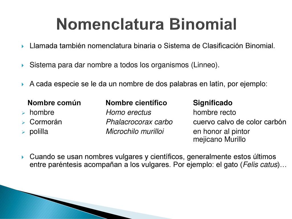 Mapa Mental Nomenclatura Binomial