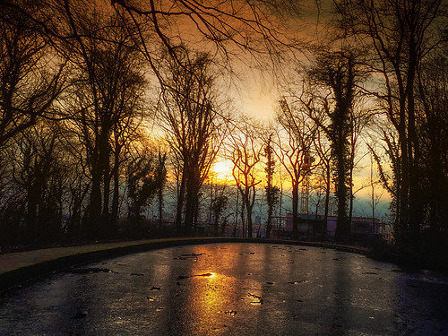 teich wasser wasserspiegelung abendstimmung sunset sonnenuntergang trees reflections meltingice duisburg duissern kaiserberg nrw