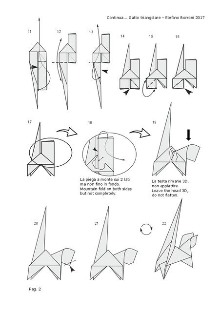 Diagrammi Gatto triangolare 2° - Stefano Borroni