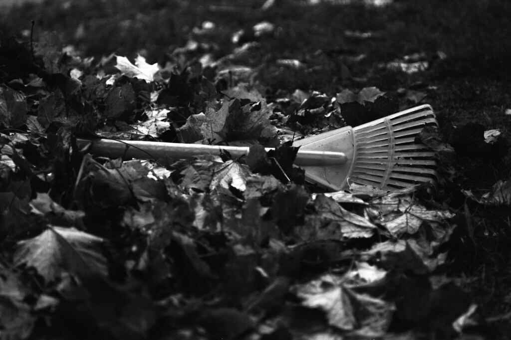 Discarded Children's Rake | A child's toy rake lies discarde… | Flickr