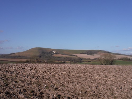 Mount Caburn across fields from Glynde SWC Walk 181 - Lewes to Seaford via West Firle
