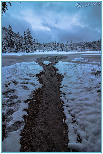 Lac de Lispach (La Bresse - Vosges) by jamesreed68, Le lac, tourbière lacustre, d'une superficie de 10 ha se situe à une altitude de 900m. Un sentier tr