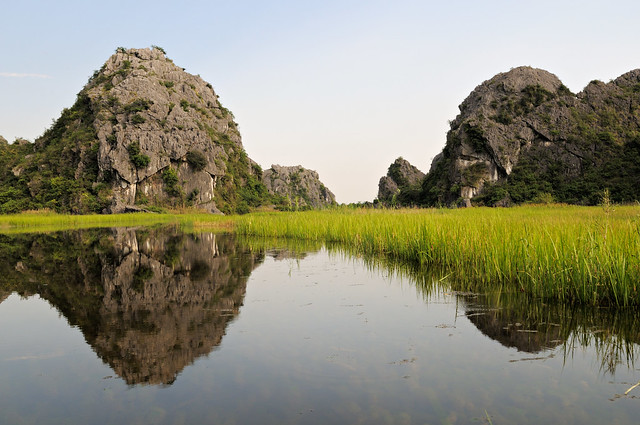 Reeds and karstic mountains in the Van Long Nature Reserve - Ninh Binh Province - Vietnam