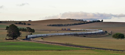 nikond610 railroad railway railways train trains diesel diesels locomotive locomotives australiantrains nswrailways d610 nikon pacificnational indianpacific