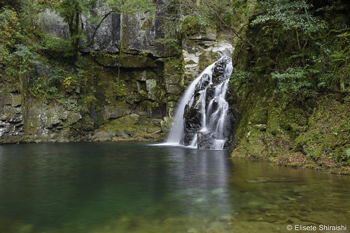 nabarishi mieken japão akame waterfalls akame48waterfalls cachoeira pedra água rio paisagem madeira grama árvore natural