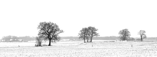 winter landscape landschap panorama snow sneeuw tree trees boom bomen farm boerderij mist fog highkey blackandwhite minimal monochrome bw fluitenberg drenthe netherlands canon 6d canoneos6d canonef24105mmf4lisusm