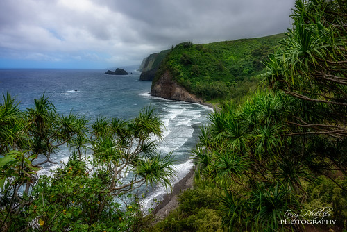 bigisland hawaii pacific pololuvalley blacksandbeach cliffs greenery landscape ocean outdoors scenery travel water
