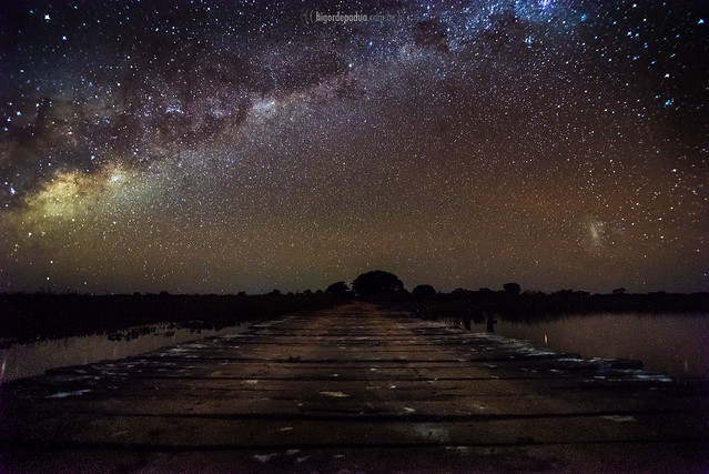 Milky way in Pantanal, Mato Grosso, Brazil