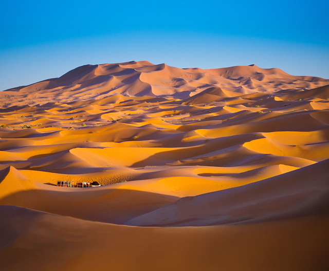 Desert Border