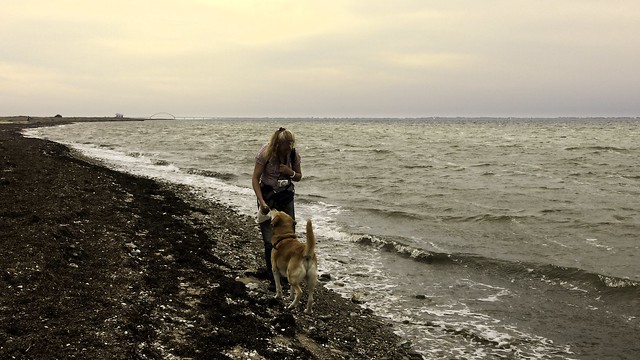2013-09-08_14-45-09 - Hund und Frauchen spielen am Strand vom Fehmarnsund