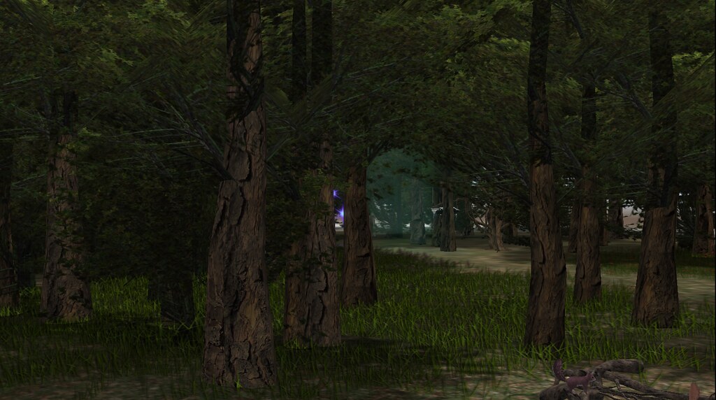 Dark Forest at Southern Heart...http://slurl.com/secondlife/Southern%20Heart/51/134/25