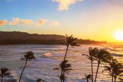 turtlebay palmtrees canonef24105mmf4lisusm landscape sunset pacificocean turtlebayresort lightrooom6 hawaiianislands topazsw oahu seascape hawaii canon5dmarkiii oahunorthshore