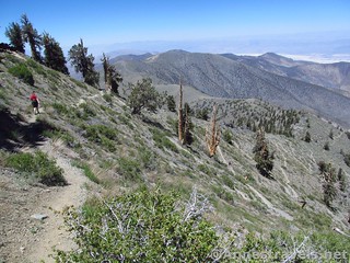 The Telescope Peak Trail in Death Valley National Park, California, is considered a Very Extremely Strenuous Trail due to its 12+ mile length and 4,000+ feet of elevation gain