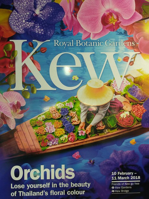 UK - London - Kew - Kew Gardens - Poster for Orchids Festival