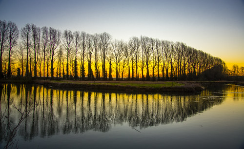 sunrise scene scenic scenery lechlade gloucestershire oxfordshire wiltshire buscot thames river flickr ngc nikon d600 winter 2018 golden tree trees footpath riverthames swindon local relection reflections sihouette uk british february