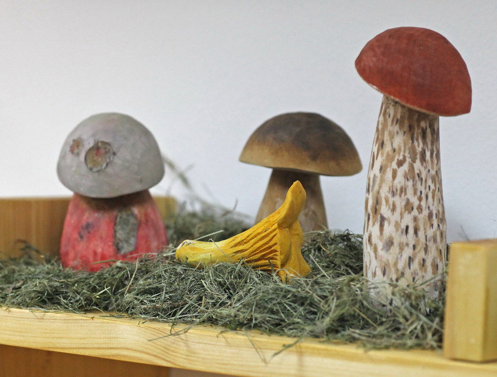 The models of mushrooms bade from the wood by Dalibor Novotny