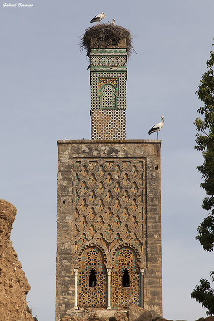 Antiguo minarete - Rabat