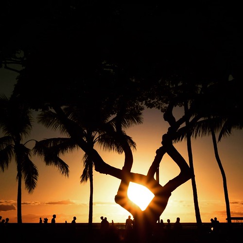 hawaii goldenhour sunset nature beach waikiki honolulu nikon nikon5300 trees shadows light