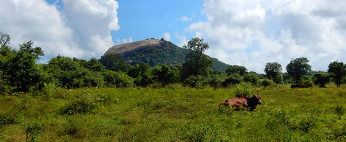 sigiriya srilanka landschap landscape sigiriyarots