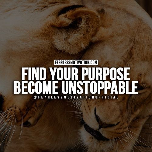 January 2018 Quotes : lion quotes - #JanuaryQuotes | by quotesstory