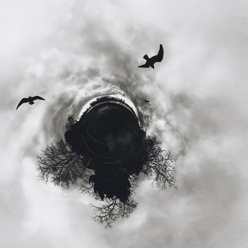 Circling birds. #360 #photography #gopro #creativecompositions #creativephotography #tinylicious #photography #360camera #goprofusion #photographyart #artphoto | by zappityzapp