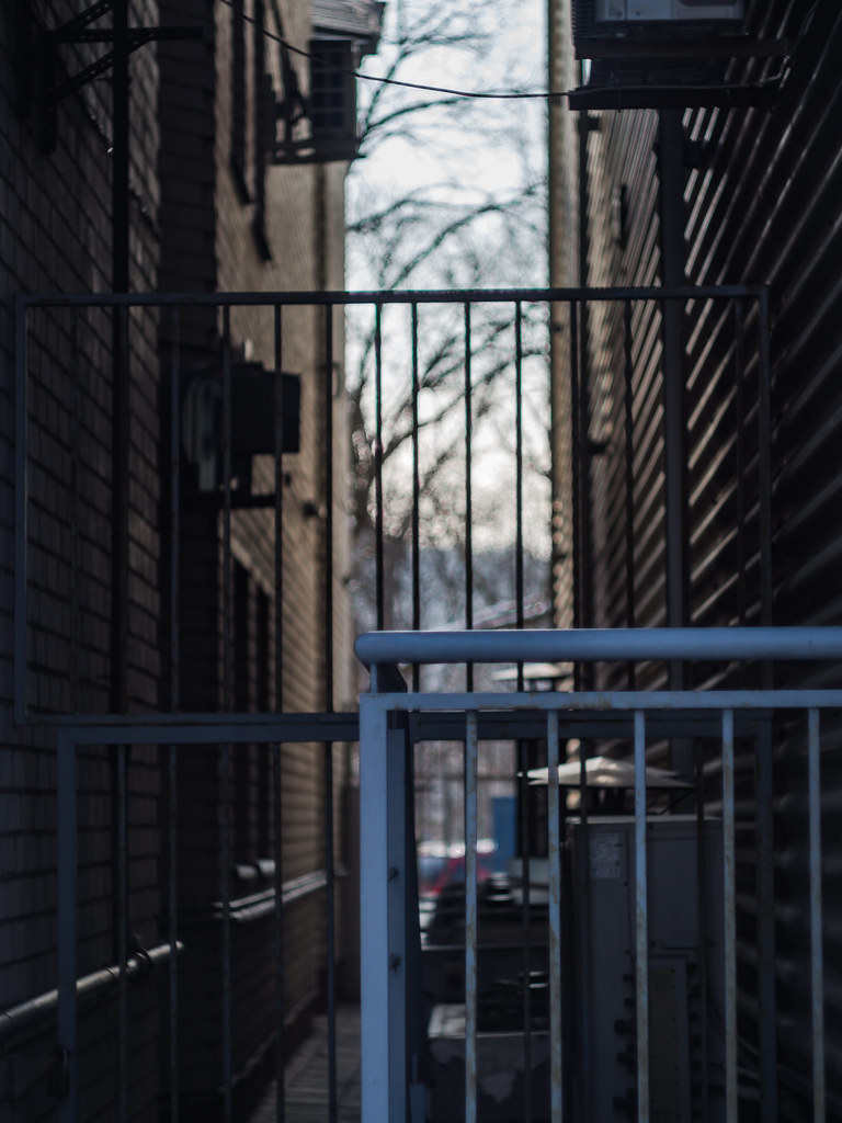 P2152345 | OLYMPUS DIGITAL CAMERA - Helios 44-2 58 mm | Andrej Cldmxcnt ...