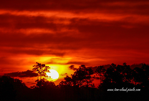 sun sunrise fire ball fireball clouds cloudy sky weather trees landscape morning dawn nature mothernature pineglades naturalarea pinegladesnaturalarea jupiter florida usa outdoors